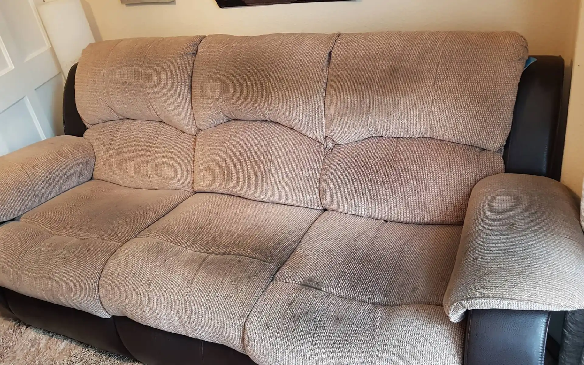 Frisch gereinigtes Sofa nach professioneller Sofareinigung in Köln