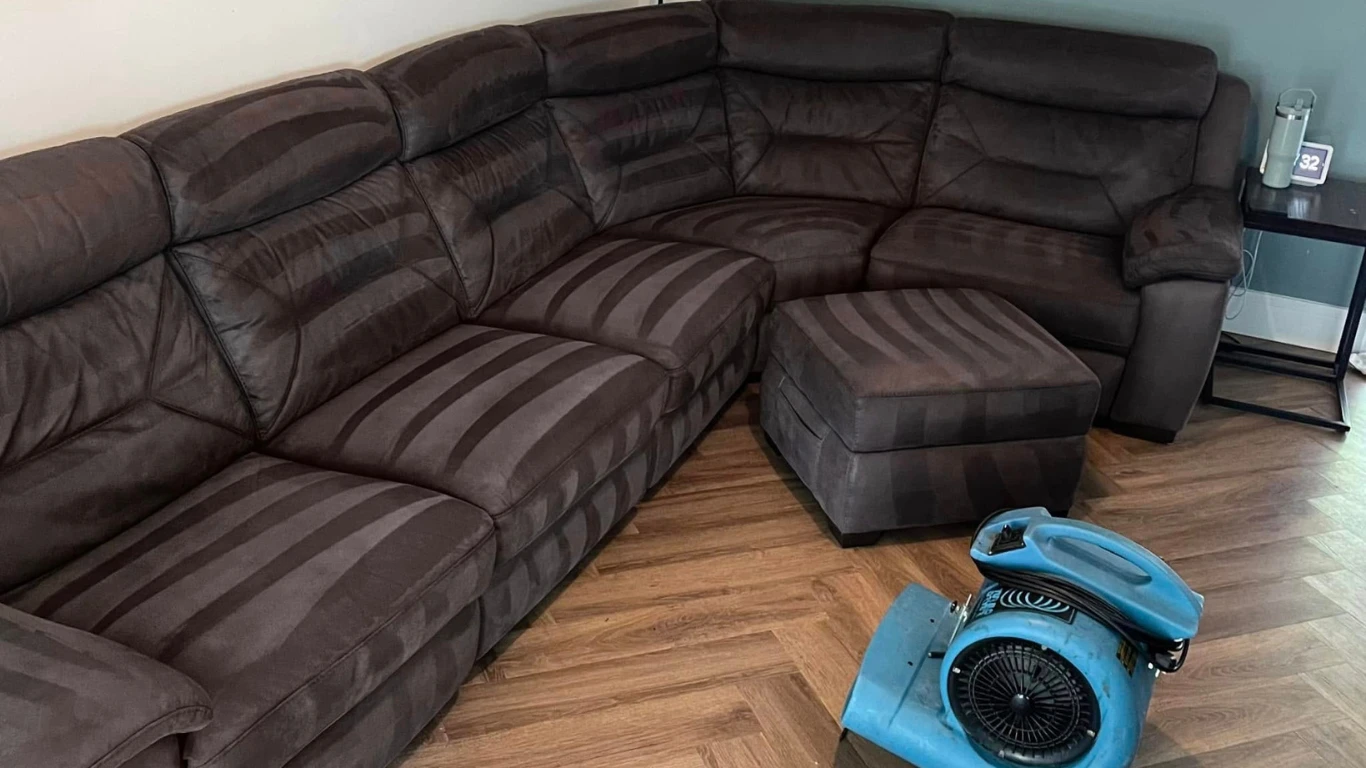 Saubere Couch mit frischem Look nach erfolgreicher Polstermöbelreinigung