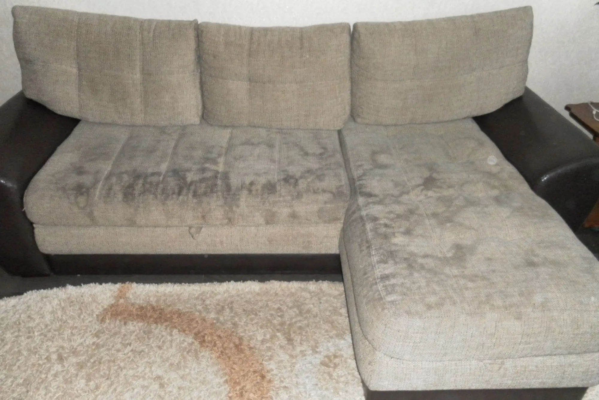 Couch in Leverkusen mit sichtbaren Flecken und Alltagsspuren vor der Reinigung.